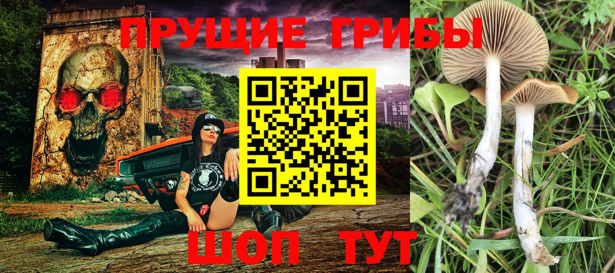 Галлюциногенные грибы MAGIC MUSHROOMS Каспийск