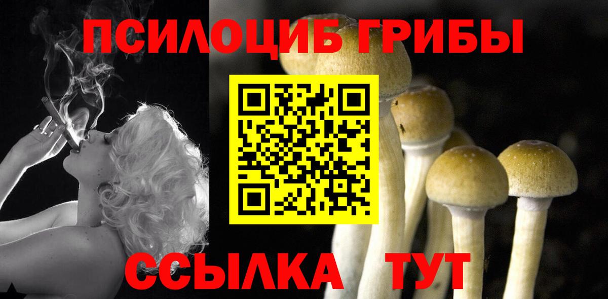Галлюциногенные грибы GOLDEN TEACHER  Псилоцибиновые грибы Psilocybe  Каспийск  даркнет сайт  Вход с VPN 